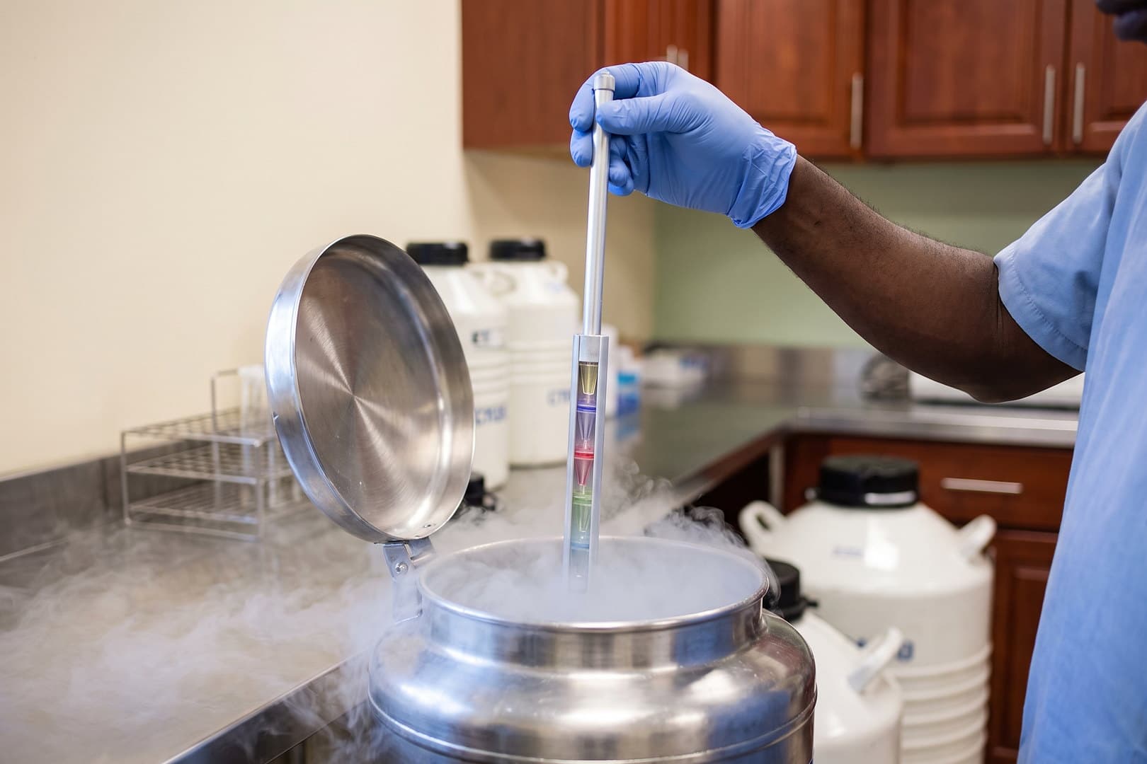 Cryoconservation d'échantillons dans les cuves d'azote du laboratoire